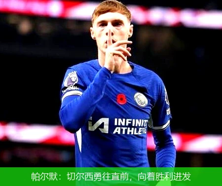 帕尔默：切尔西勇往直前，向着胜利进发